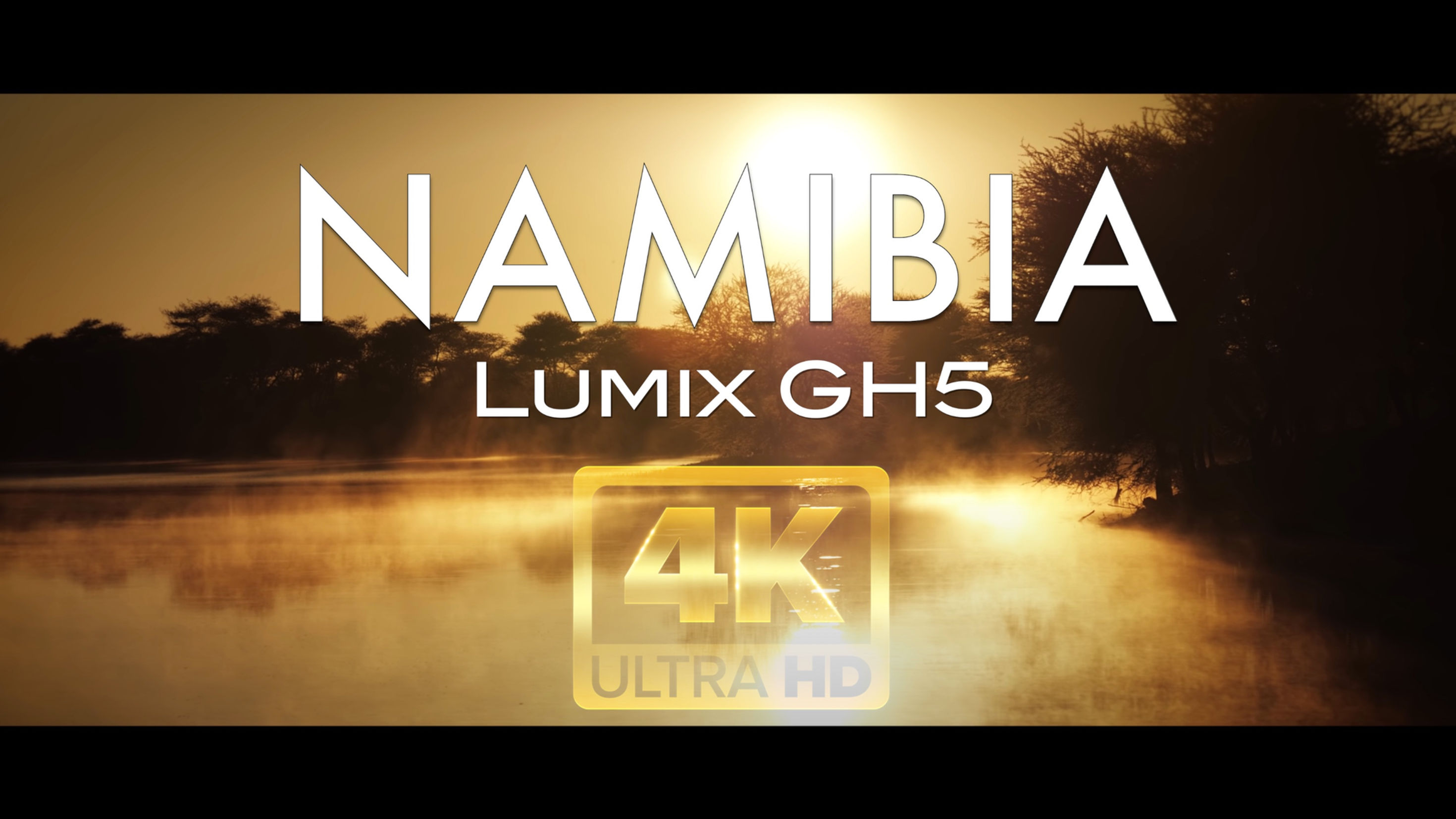 WILD NAMIBIA (PANASONIC GH5 / 422 10bits)
